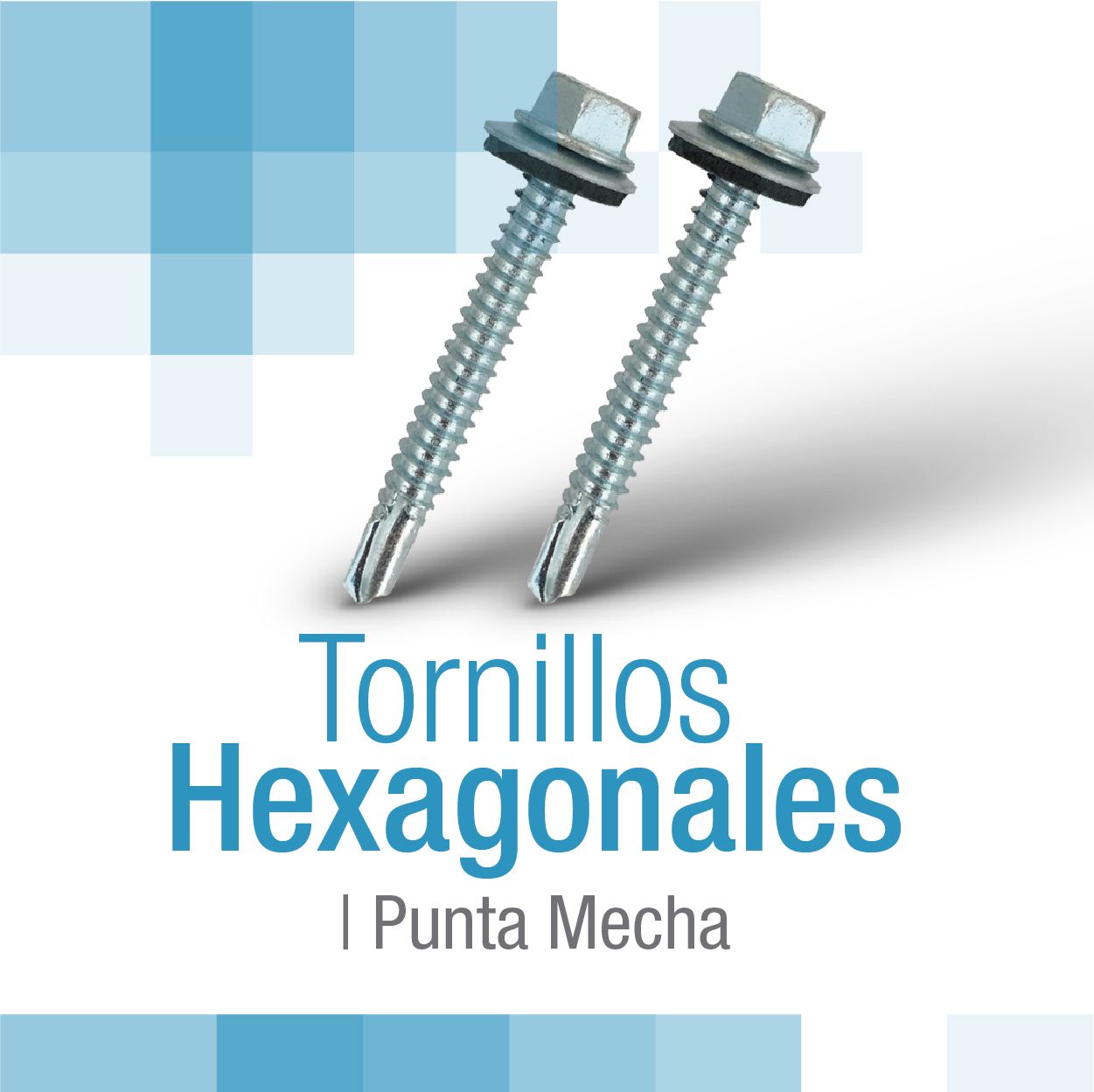 encabezado_cabeza_hexagonal